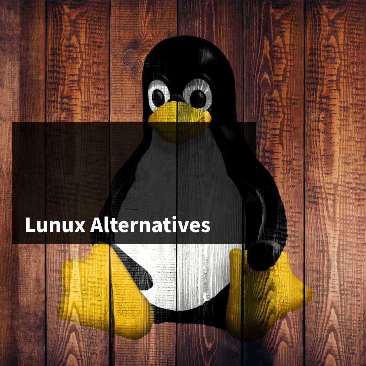 Lunux 的 Alternatives 機制